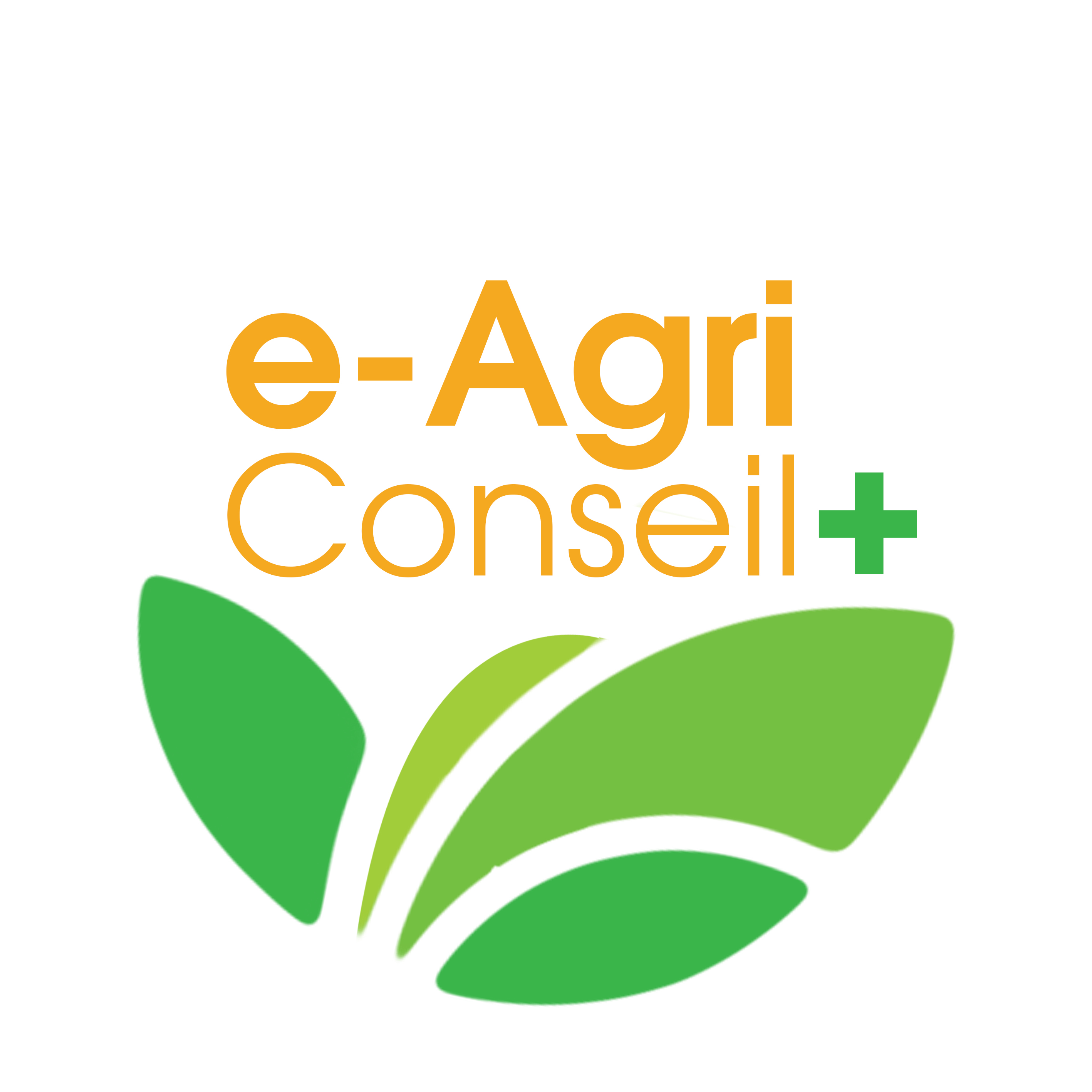 e-AgriConseil+